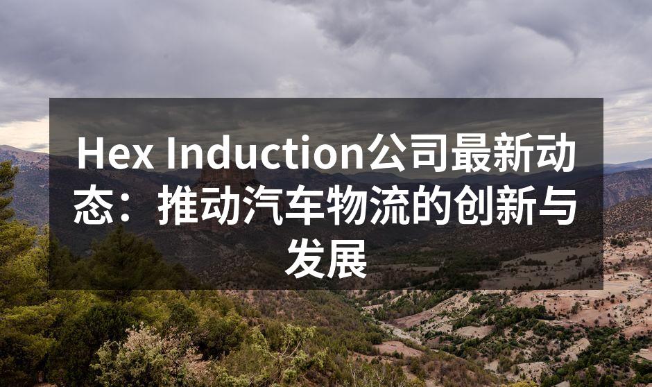 Hex Induction团队在智能调度系统研讨会上